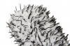 Glosswork Microfiber Wheel Brush Микрофибровая щетка для дисков
