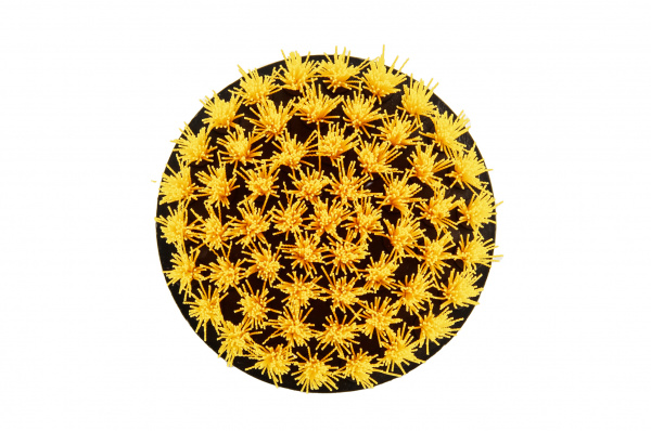 Glosswork Drill Brush Medium Щетка для чистки ковров, средней жесткости, крепление под дрель